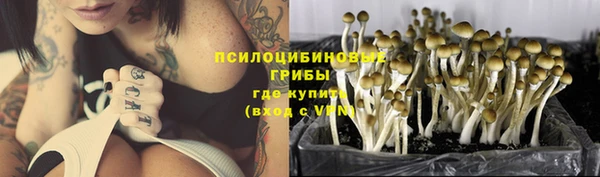 бутират Сатка
