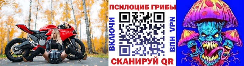 Псилоцибиновые грибы MAGIC MUSHROOMS  наркота  Давлеканово 
